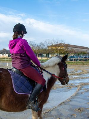 centre-equestre-campus-la-salle-saint-christophe_00